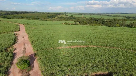 Fazenda / Sítio / Chácara com 3 Quartos à venda, 500m² no Monte Azul Paulista, Monte Azul Paulista