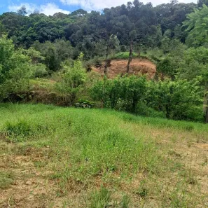 Fazenda / Sítio / Chácara à venda, 3662m² no Vargem Grande, Águas Mornas