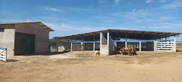 Fazenda / Sítio / Chácara à venda, 13500m² no Residencial Greenville I, Novo Gama