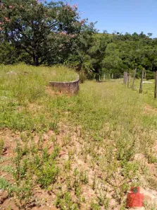 Fazenda / Sítio / Chácara com 3 Quartos à venda, 6600m² no Centro, Taubaté