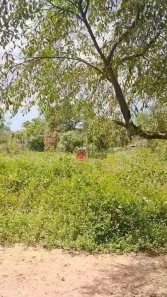 Fazenda / Sítio / Chácara à venda, 2000m² no Cidade Balneária Novo Mundo I, Conde