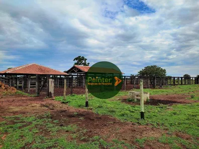 Fazenda / Sítio / Chácara à venda, 13552000m² no , Formoso do Araguaia