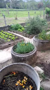 Fazenda / Sítio / Chácara com 4 Quartos à venda, 20000m² no Água Branca, Igaratá