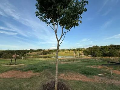Terreno / Lote / Condomínio à venda, 2694m² no , Porto Feliz