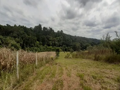 Fazenda / Sítio / Chácara com 2 Quartos à venda, 20000m² no Centro, Araucária