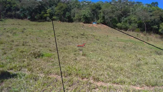 Fazenda / Sítio / Chácara com 1 Quarto à venda, 5635m² no Área Rural de Viçosa, Viçosa