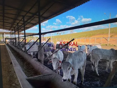 Fazenda / Sítio / Chácara com 5 Quartos à venda, 2565200m² no Chácara Marambaia, Caçapava