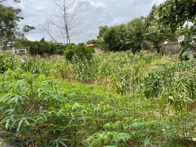 Terreno / Lote / Condomínio à venda, 1050m² no Bosque dos Pinheiros, Capivari