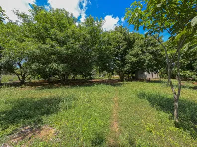 Fazenda / Sítio / Chácara com 3 Quartos à venda, 121m² no Área Rural de Formosa, Formosa