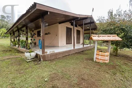 Fazenda / Sítio / Chácara com 3 Quartos à venda, 37000m² no mandassaia, Campina Grande do Sul