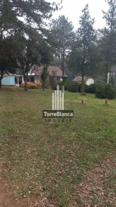 Fazenda / Sítio / Chácara com 3 Quartos à venda, 70m² no Guaragi, Ponta Grossa