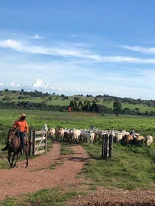 Fazenda / Sítio / Chácara à venda, 51691200m² no , Arapoema