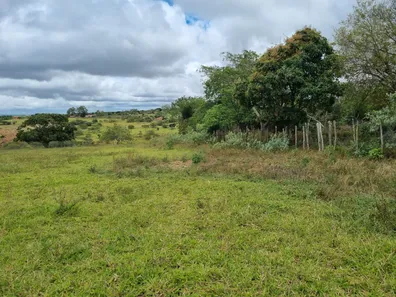 Fazenda / Sítio / Chácara com 3 Quartos à venda, 14000000m² no Riachão, Caruaru