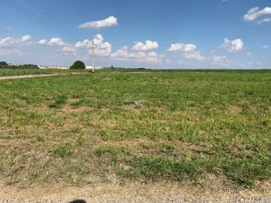 Terreno / Lote / Condomínio à venda, 1000m² no Mato Alto, Saltinho