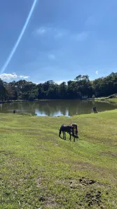 Fazenda / Sítio / Chácara à venda, 1000m² no , Alumínio