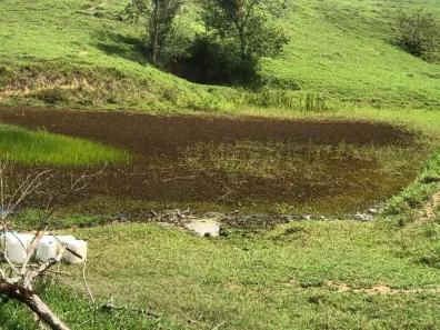 Fazenda / Sítio / Chácara à venda, 1875000m² no , São José da Laje