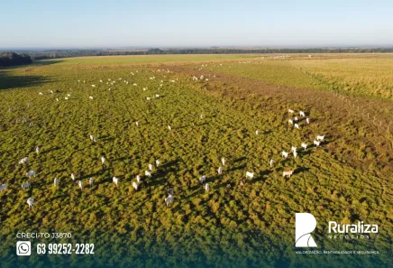 Fazenda / Sítio / Chácara à venda, 304m² no , Guaraí