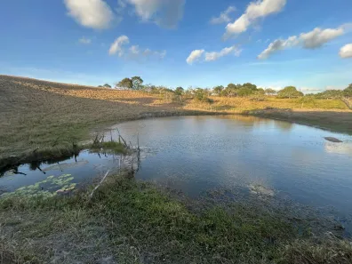 Fazenda / Sítio / Chácara à venda, 45000m² no , Sairé