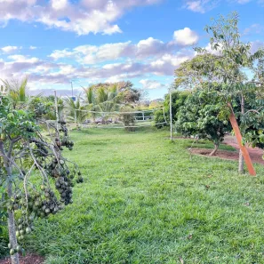 Fazenda / Sítio / Chácara com 3 Quartos à venda, 3000m² no , Nerópolis