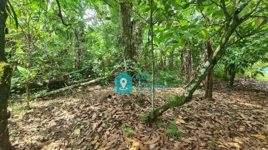 Terreno / Lote / Condomínio à venda, 1260m² no Sertão do Camburi, São Sebastião