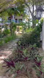 Hotel / Motel / Pousada com 8 Quartos à venda, 330m² no praia da Pipa centro, Tibau do Sul