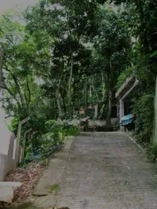 Fazenda / Sítio / Chácara com 4 Quartos à venda, 2000m² no São Conrado, Rio de Janeiro