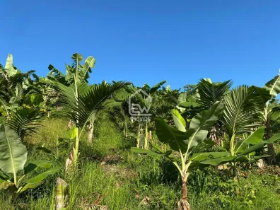 Fazenda / Sítio / Chácara com 1 Quarto à venda, 101850m² no Sete de Janeiro, Massaranduba