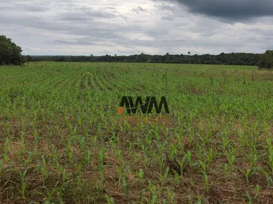 Fazenda / Sítio / Chácara à venda, 29999772m² no , Pedro Afonso