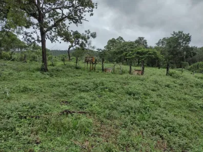 Terreno / Lote / Condomínio à venda, 20000m² no Zona Rural, 