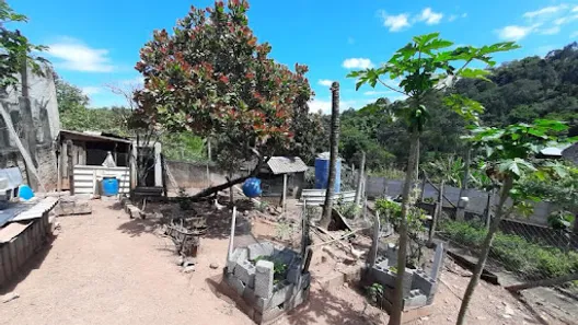 Fazenda / Sítio / Chácara com 3 Quartos à venda, 200m² no Aglomeração Urbana de Jundiaí, Louveira