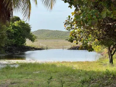 Casa com 3 Quartos à venda, 209m² no , Estância