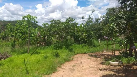 Fazenda / Sítio / Chácara com 2 Quartos à venda, 20000m² no , Brasília