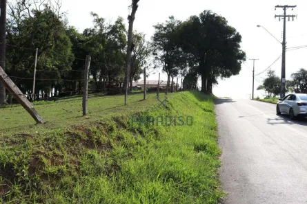 Terreno / Lote / Condomínio para venda ou aluguel, 2100m² no Colônia Rio Grande, São José dos Pinhais
