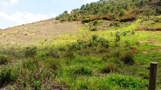 Fazenda / Sítio / Chácara com 1 Quarto à venda, 12700m² no Área Rural de Viçosa, Viçosa