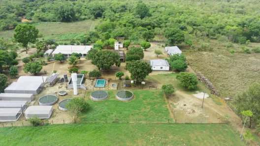Fazenda / Sítio / Chácara com 4 Quartos à venda, 70000m² no Mansões de Recreio Estrela Dalva VII-A, Novo Gama