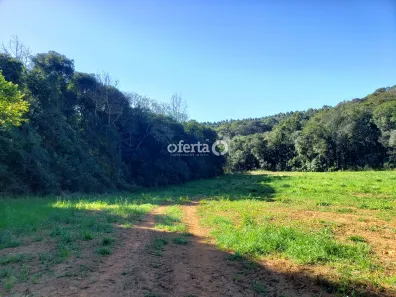 Fazenda / Sítio / Chácara à venda, 22385m² no Porto das Laranjeiras, Araucária
