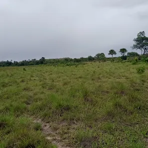 Fazenda / Sítio / Chácara à venda, 200m² no , Ponte Alta do Tocantins