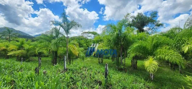 Fazenda / Sítio / Chácara com 3 Quartos à venda, 300m² no Rio do Cedro, Antonina