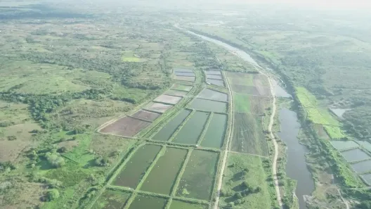 Fazenda / Sítio / Chácara com 2 Quartos à venda, 326000m² no , Pilar