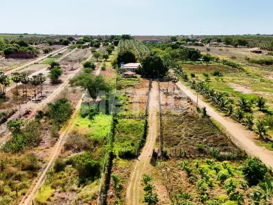 Fazenda / Sítio / Chácara à venda, 84000m² no Pedrinhas, Petrolina