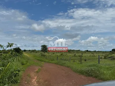 Fazenda / Sítio / Chácara à venda, 500m² no Centro, Formosa