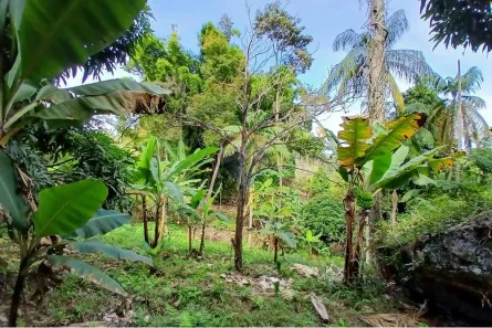 Fazenda / Sítio / Chácara com 2 Quartos à venda, 16200m² no , Bom Jardim