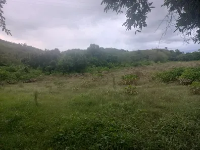 Fazenda / Sítio / Chácara à venda, 110000m² no Papucaia, Cachoeiras de Macacu