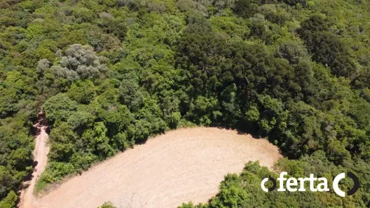 Fazenda / Sítio / Chácara à venda, 23475m² no Porto das Laranjeiras, Araucária