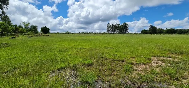 Fazenda / Sítio / Chácara com 1 Quarto à venda, 20000m² no Brazlândia, Brasília