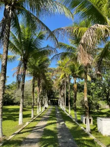 Fazenda / Sítio / Chácara à venda, 5000m² no Sampaio Correia (Sampaio Correia), Saquarema