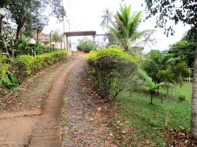 Fazenda / Sítio / Chácara com 3 Quartos à venda, 6465m² no Inácio Martins, Viçosa