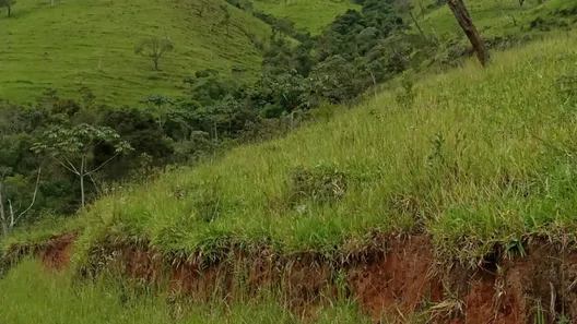 Fazenda / Sítio / Chácara à venda, 480000m² no Visconde de Mauá, Resende