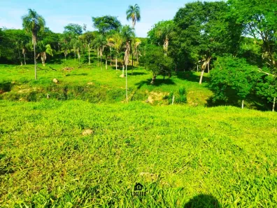 Fazenda / Sítio / Chácara com 2 Quartos à venda, 210000m² no Padre Bernardo, Padre Bernardo