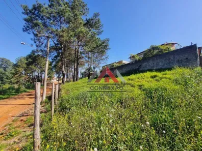 Terreno / Lote / Condomínio à venda, 216m² no Cidade Edson, Suzano